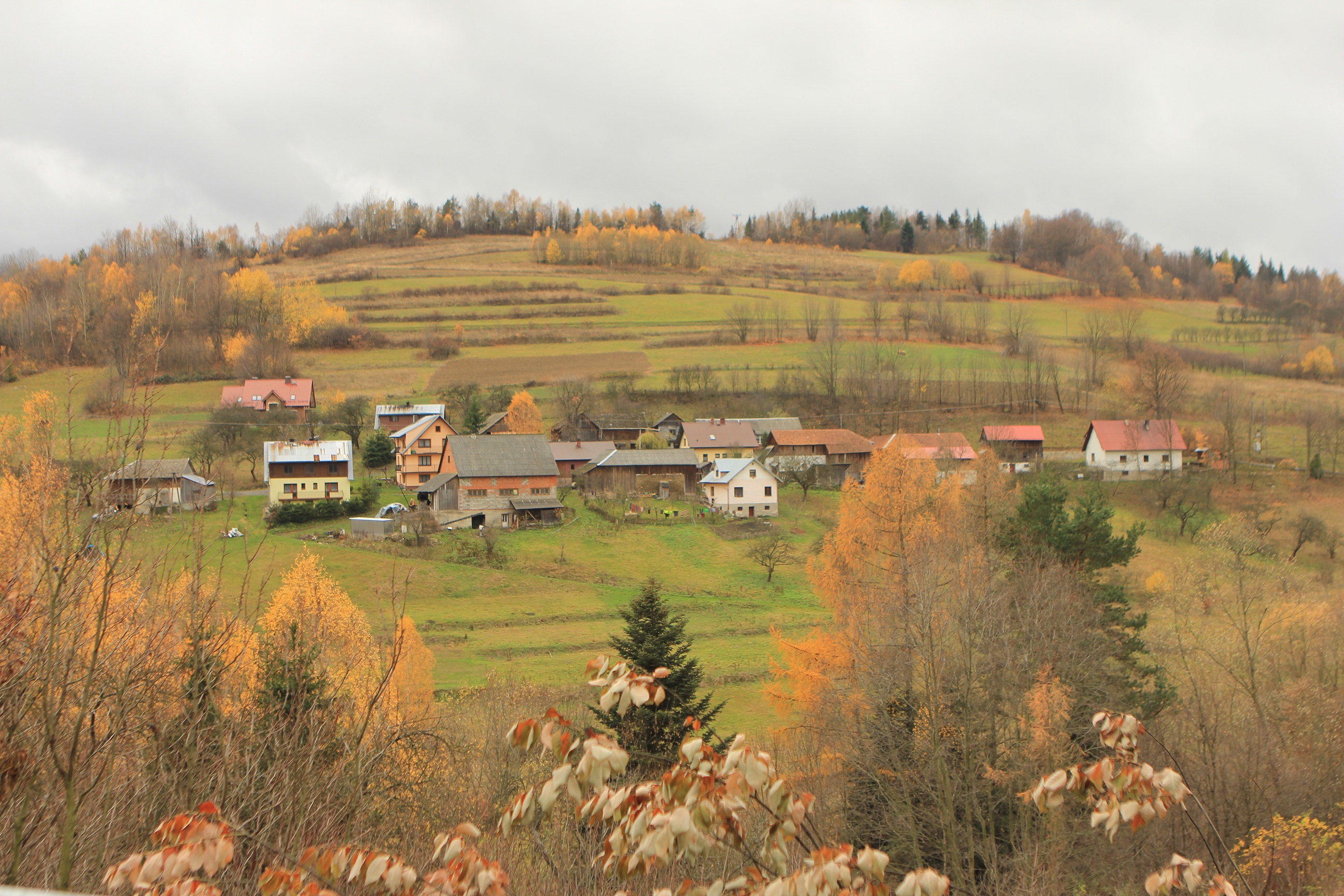 foto. Lucyna Kozub