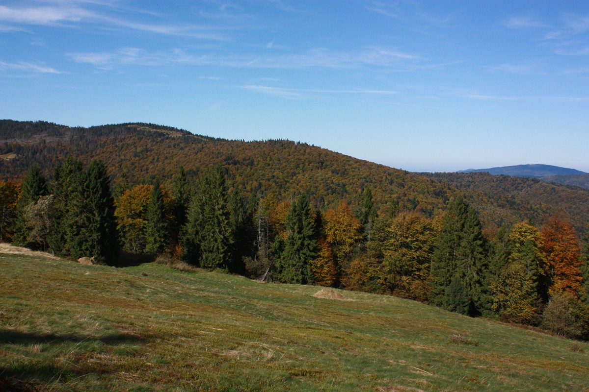 foto. Lucyna Kozub