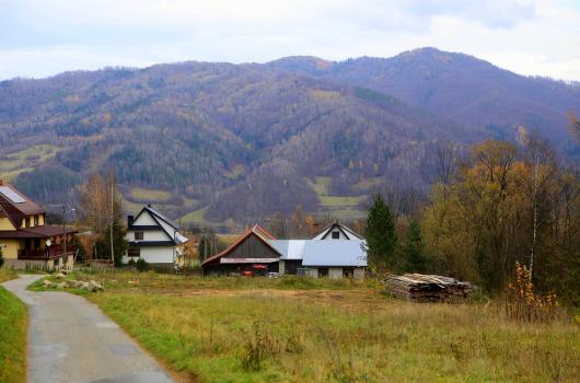 foto. Lucyna Kozub